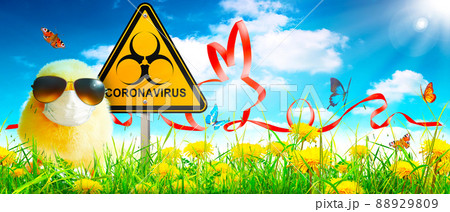 Little cute baby chick with mask at corona virus time. 88929809