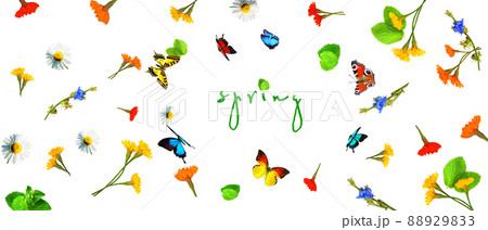 Flowers and herbs with word spring. Creative floral composition. Flowers and herbs with word spring. Creative floral composition. 88929833