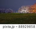 賑わいを無くした夜の公園に咲く桜が、どこか寂し気に感じる その5 賑わいを無くした夜の公園に咲く桜が、どこか寂し気に感じる その5 88929858