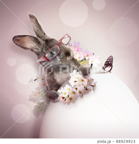 Funny Easter bunny. Happy Easter holiday concept. Funny Easter bunny. Happy Easter holiday concept. 88929923