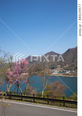 道の駅八ッ場ふるさと館から見る八ッ場あがつま湖 道の駅八ッ場ふるさと館から見る八ッ場あがつま湖 88929977