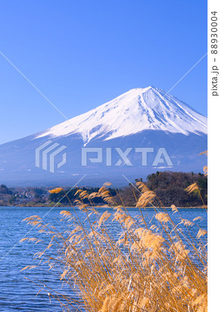 (山梨県)快晴の空と残雪期の富士山・河口湖 (山梨県)快晴の空と残雪期の富士山・河口湖 88930004