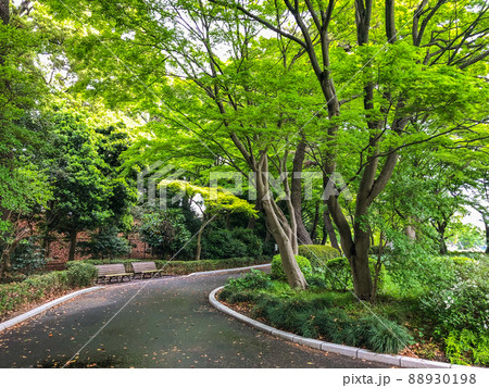 東京千代田区・皇居二の丸庭園 東京千代田区・皇居二の丸庭園 88930198