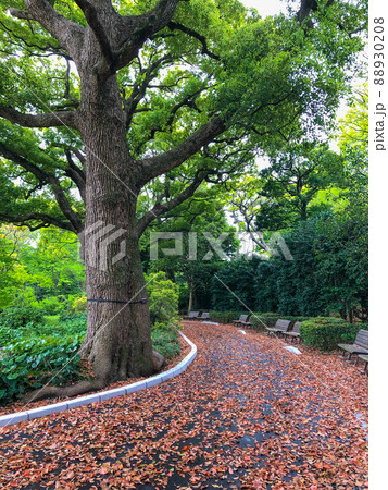 東京千代田区・皇居二の丸庭園 88930208