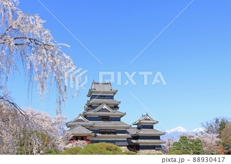桜咲く春の国宝松本城 88930417