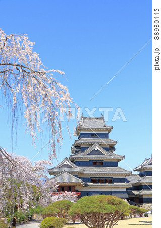 桜咲く春の国宝松本城 桜咲く春の国宝松本城 88930445