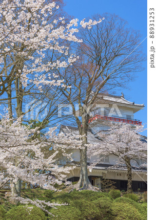 春の御隅櫓 千秋公園 秋田 春の御隅櫓 千秋公園 秋田 88931253