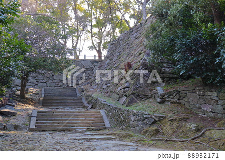 徳島城跡の石垣(弓櫓台) 徳島城跡の石垣(弓櫓台) 88932171