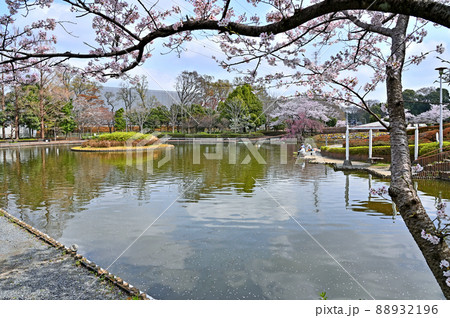 見沼田圃：さぎ山記念公園 88932196