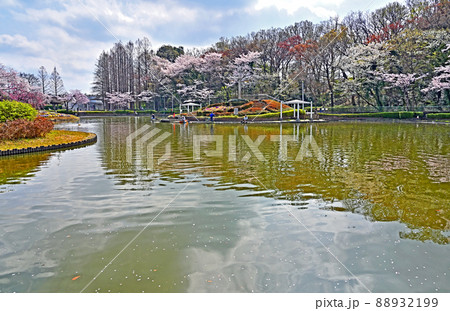 見沼田圃:さぎ山記念公園 見沼田圃:さぎ山記念公園 88932199