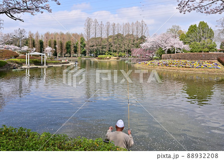 見沼田圃：さぎ山記念公園 88932208