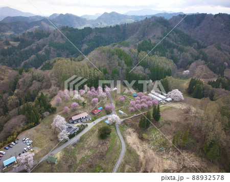 立屋の桜・番所の桜 長野県小川村(ドローンによる空撮) 立屋の桜・番所の桜 長野県小川村(ドローンによる空撮) 88932578