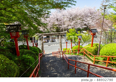 足立山妙見宮御祖神社と桜の風景 福岡県北九州市 足立山妙見宮御祖神社と桜の風景 福岡県北九州市 88932790