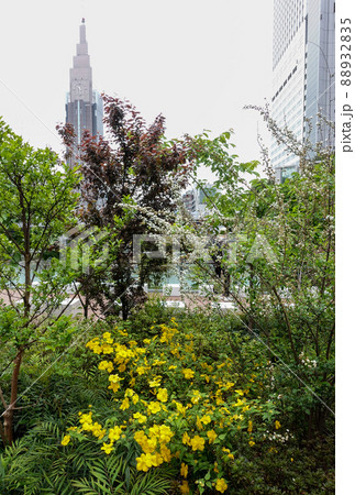 (都市風景)都市のネイチャー 新宿駅新南口 コンデジ写真 (都市風景)都市のネイチャー 新宿駅新南口 コンデジ写真 88932835