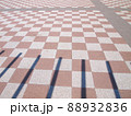 公園の地面と影 88932836