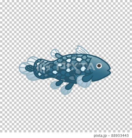 coelacanth coelacanth 88933443