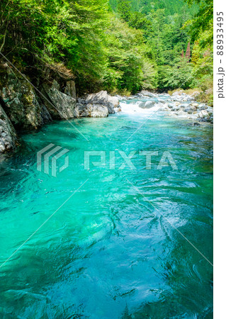 阿寺渓谷（夏） 88933495