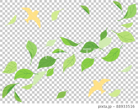 葉と鳥のエコでナチュラルなイラスト 88933516