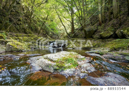 苔むした岩に囲まれた二つの滝の情景＠赤目四十八滝、三重 88933544