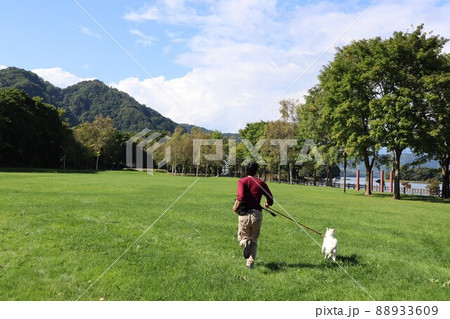【北海道】夏の洞爺湖 『 有珠山噴火記念公園 』を犬と散歩 【北海道】夏の洞爺湖 『 有珠山噴火記念公園 』を犬と散歩 88933609