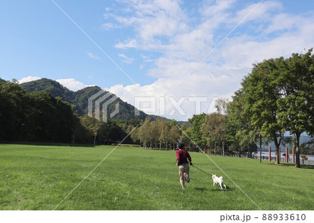 【北海道】夏の洞爺湖 『 有珠山噴火記念公園 』を犬と散歩 【北海道】夏の洞爺湖 『 有珠山噴火記念公園 』を犬と散歩 88933610