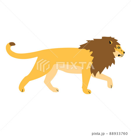 Vector flat lion 88933760