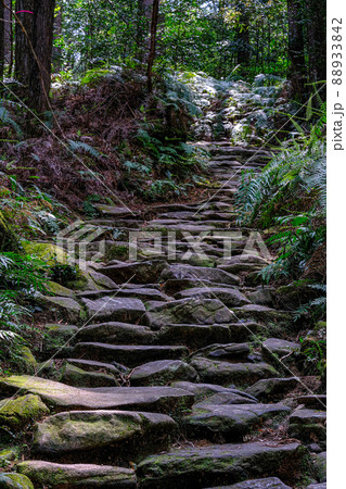 熊野古道　馬越峠 88933842