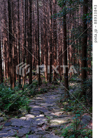 熊野古道　馬越峠 88933843