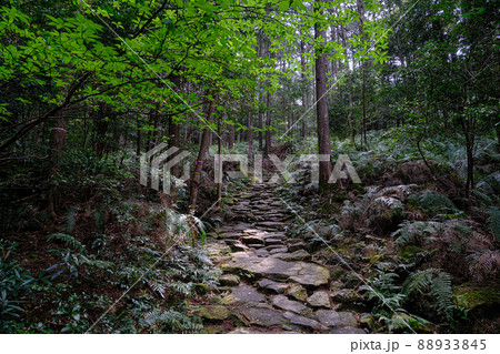熊野古道　馬越峠 88933845