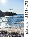 海の写真 88934172