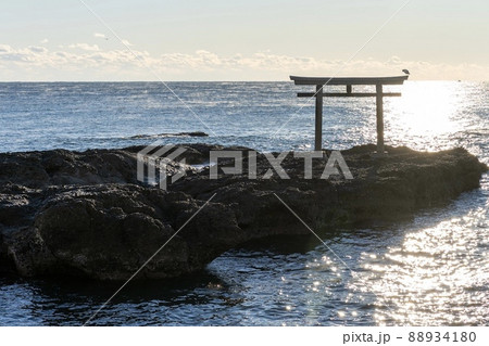 海の写真 海の写真 88934180