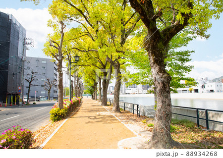 川沿いに続く河岸公園です。明るい雰囲気にどうぞ。広島市 88934268