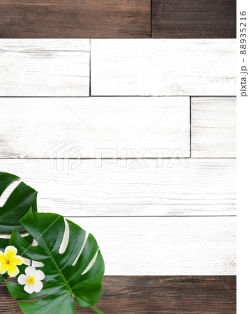 南国をイメージしたナチュラルな背景素材 88935216