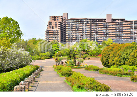 小山白山公園(東京都町田市)【2022.4】 小山白山公園(東京都町田市)【2022.4】 88935320