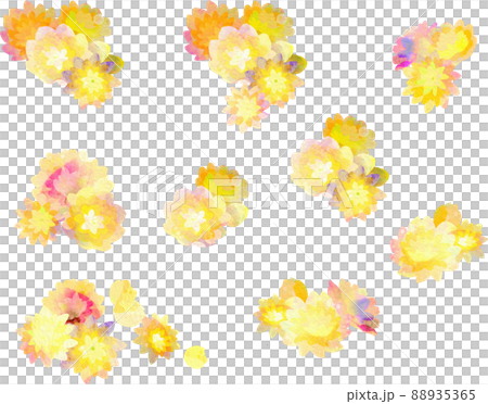 Illustration material of Lady Banks' rose Illustration material of Lady Banks' rose 88935365