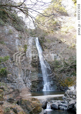 大阪　箕面大滝 88935368
