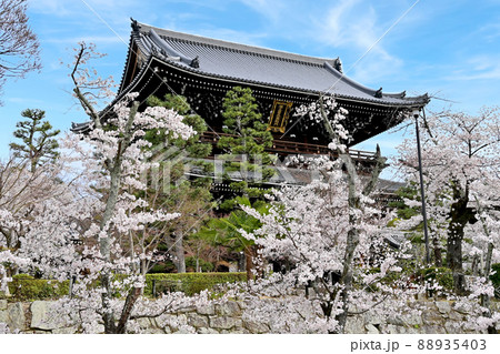 金戒光明寺 金戒光明寺 88935403