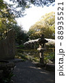 天赦園碑と白玉上り藤 88935521