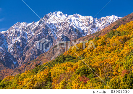 《長野県》紅葉最盛期の白馬村・三段紅葉 《長野県》紅葉最盛期の白馬村・三段紅葉 88935550