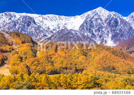 《長野県》紅葉最盛期の白馬村・三段紅葉 《長野県》紅葉最盛期の白馬村・三段紅葉 88935566