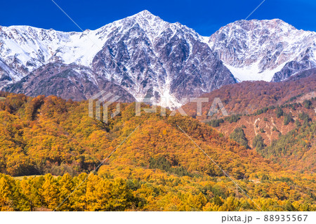 《長野県》紅葉最盛期の白馬村・三段紅葉 《長野県》紅葉最盛期の白馬村・三段紅葉 88935567