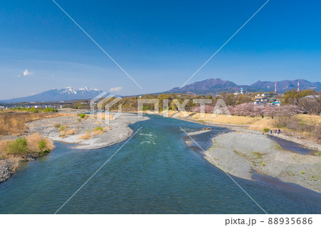 釜無川信玄堤の桜風景 釜無川信玄堤の桜風景 88935686