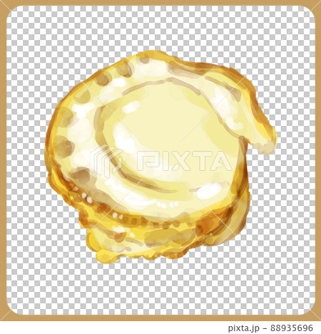 手描き水彩の帆立イラスト 手描き水彩の帆立イラスト 88935696