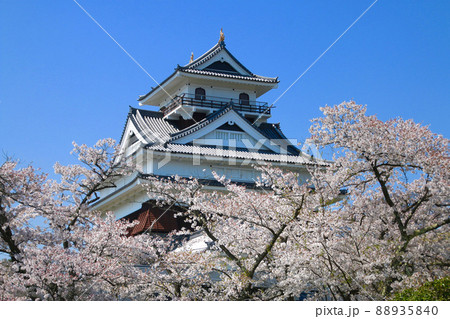 上山城の桜(山形県・上山市) 上山城の桜(山形県・上山市) 88935840