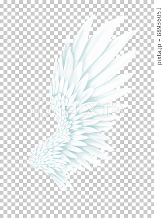 翼 羽根 白とブルー 天使 方翼 飛ぶ 羽ばたく 88936051