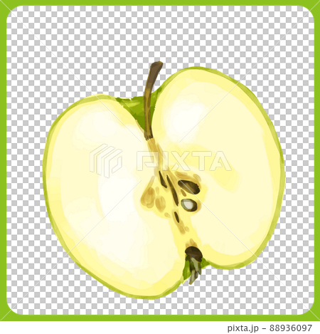 Hand drawn watercolor green apple cross section illustration Hand drawn watercolor green apple cross section illustration 88936097