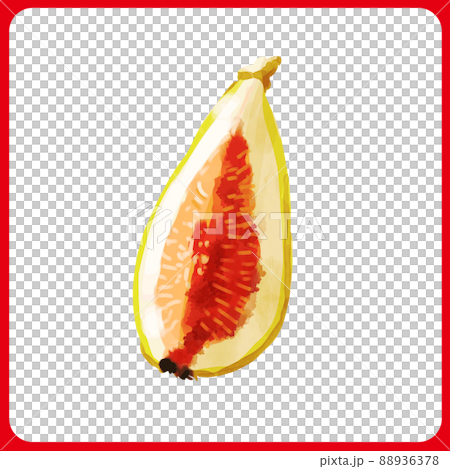 手繪水彩厚塗梳狀無花果插圖 88936378