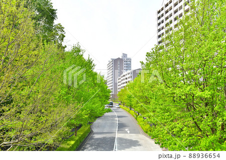 大田切歩道橋周辺/(左側)都立 小山内裏公園(東京都八王子市)【2022.4】 大田切歩道橋周辺/(左側)都立 小山内裏公園(東京都八王子市)【2022.4】 88936654