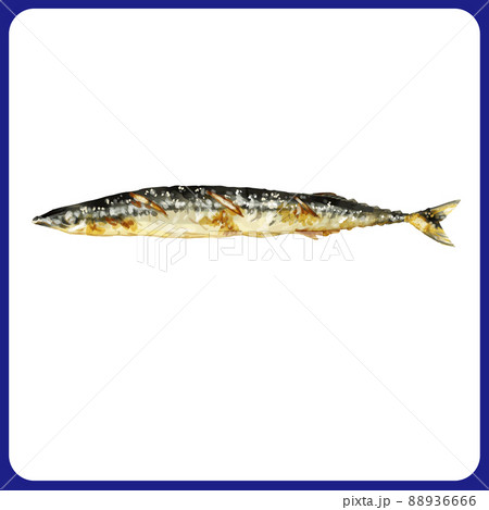 手描き水彩の秋刀魚の塩焼きイラストのイラスト素材 6666
