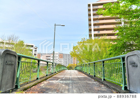 大田切歩道橋周辺/都立 小山内裏公園(東京都八王子市)【2022.4】 大田切歩道橋周辺/都立 小山内裏公園(東京都八王子市)【2022.4】 88936788